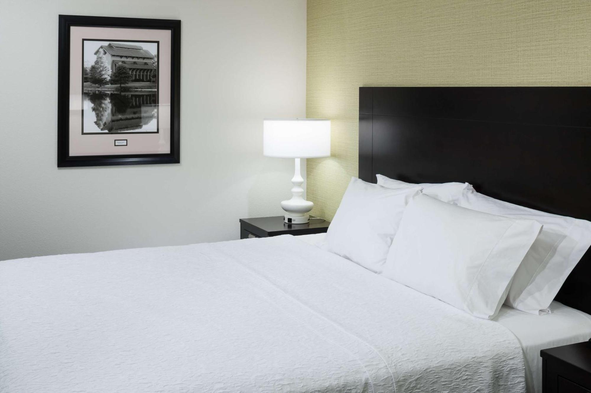 Hampton Inn & Suites Gainesville Downtown מראה חיצוני תמונה