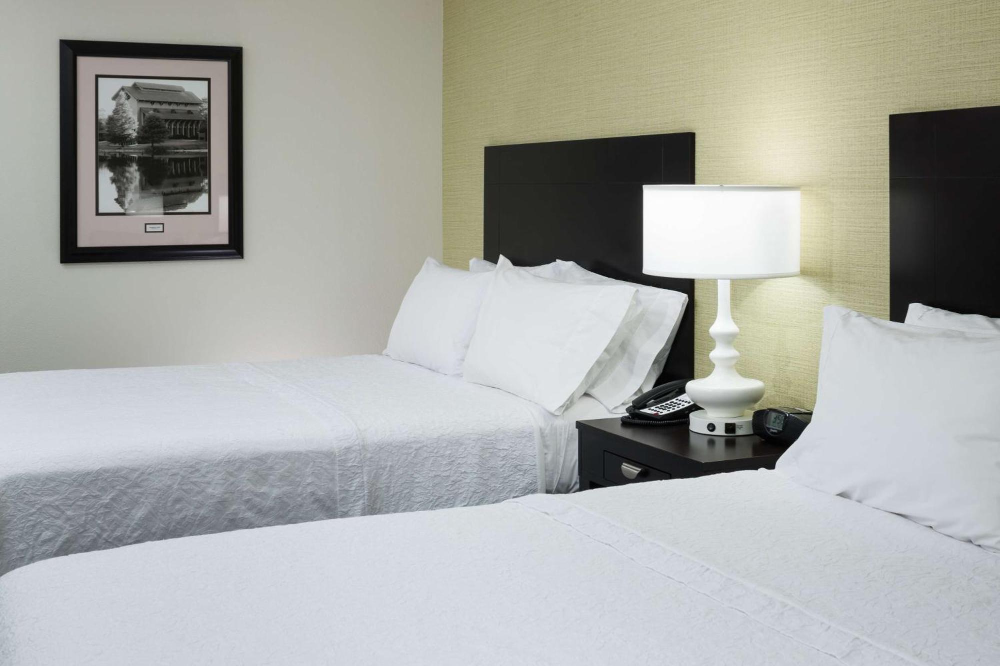 Hampton Inn & Suites Gainesville Downtown מראה חיצוני תמונה